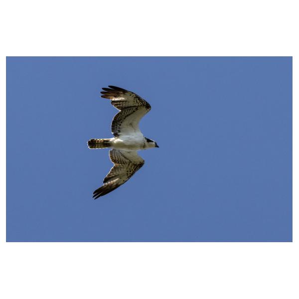 PHOTO84, CLUB, 84 , LUBERON
